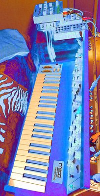 Minimoog Dr. with Streichfett