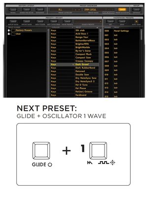 moog presets-COLLAGE.jpg