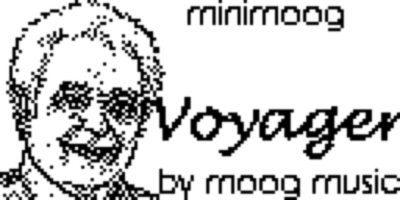 Enlarged version of the original file used for the Bob Moog start screen.