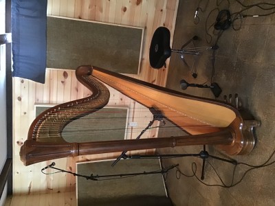 Acoustic Harp
