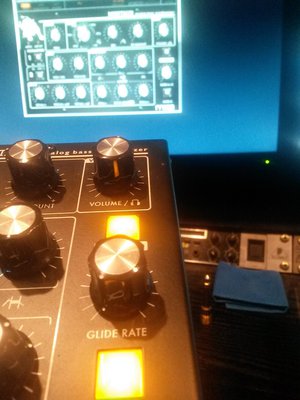 Reload the Cubase track. Minitaur gets the settings back. But the Editor lost all settings (release and glide buttons are still off)