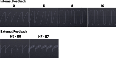 sub37_feedback.gif