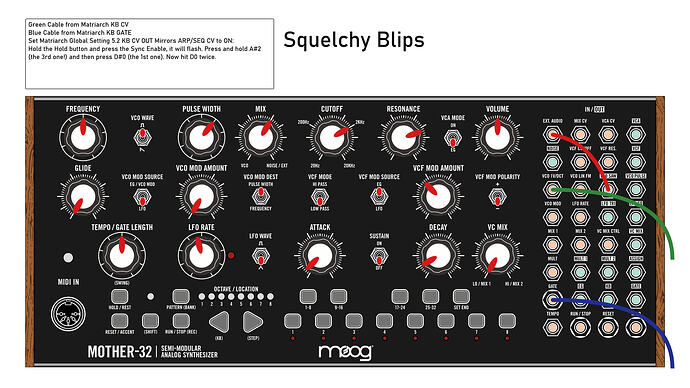 Squelchy Blips