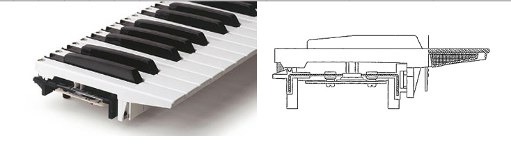 Screenshot 2017-08-31 07.41.51.png